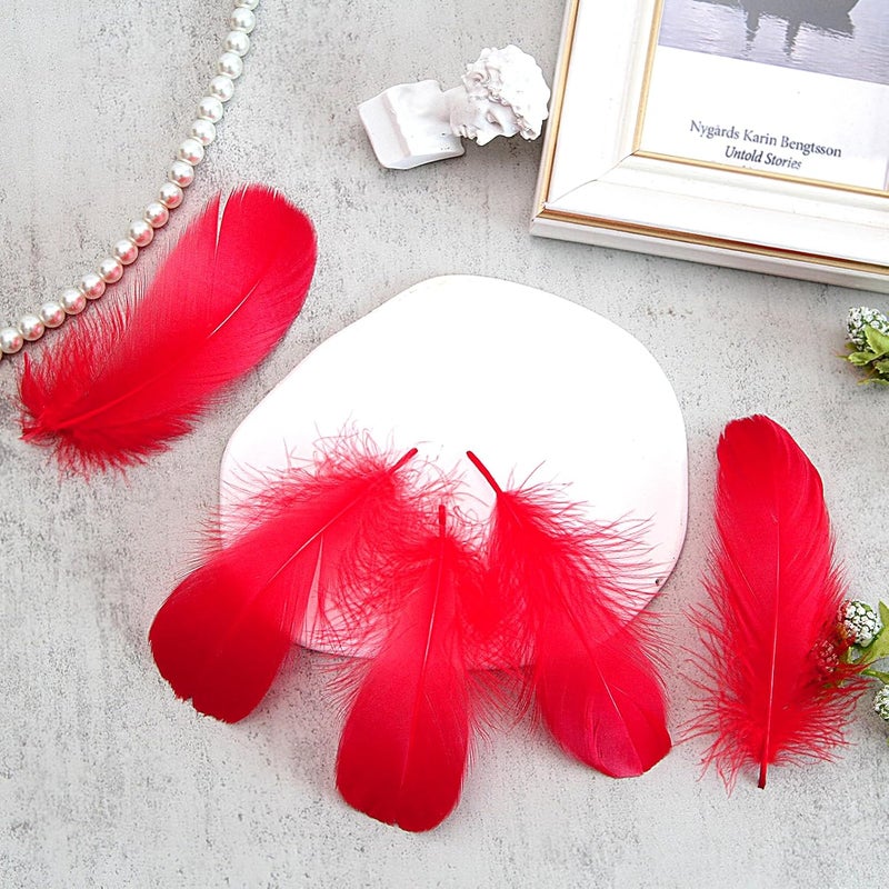 Lamar Feather 300pcs Red Feathers 2-3 Inches Bulk Feathers for Crafting, Dream Catcher Accessories, Art Projects, DIY Crafting, Handi Crafts, Party Decoration (Red) - Image 5